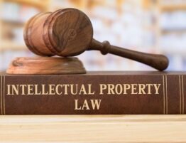 turkish ip law