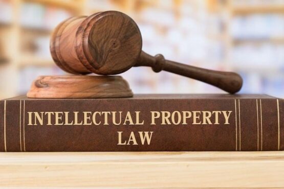 turkish ip law